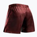 Herren-Trainingsshorts Hayabusa Core Fight Mid red 2