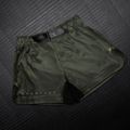 Herren-Trainingsshorts Hayabusa Apex Fight Mid green 3