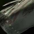 Herren-Trainingsshorts Hayabusa Apex Fight Mid green 7