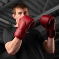 Boxhandschuhe Hayabusa E1 Leather red 6