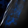 Herren-Trainingsshorts Hayabusa X UFC BJJ Grappling blue 4