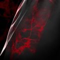 Herren-Trainingsshorts Hayabusa X UFC BJJ Grappling red 4