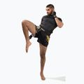 Hayabusa Falcon Muay Thai Herren Trainingsshorts schwarz 5