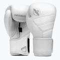 Hayabusa T3 Kanpeki arktische weiße Boxhandschuhe