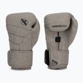 Hayabusa T3 LX Schiefer Boxhandschuhe