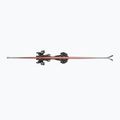 Alpinski mit Bindung Nordica Doberman Multigara DC + Comp 13 FDT black/white 3