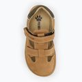 Sandalen Kinder Primigi PWN 79073 dark tan 5