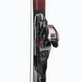Nordica DOBERMANN SLC FDT schwarz +TPX12 F Abfahrtsski 0A9034NA001 6