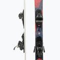 Nordica Herren Abfahrtsski NAVIGATOR 85 blau/rot +TP2LT11 FDT 0A1286OB 001 5