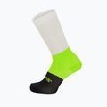 Santini Bengalfarbene Fahrradsocken 2S652HPBENGVFXS 4