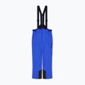 Herren Skihose EA7 Emporio Armani Pure Protectum 7 new royal 6