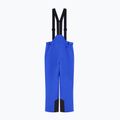 Herren Skihose EA7 Emporio Armani Pure Protectum 7 new royal 7