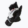 Skihandschuhe für Männer Dainese Hp lily white/stretch limo