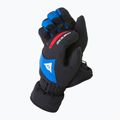 Kinder-Skihandschuhe Dainese Hp Scarabeo black taps/high risk red/lapi