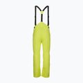 Skihose für Männer Dainese Hp Ridge lemon yellow 2
