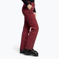Skihose für Frauen Dainese Hp Scree jam violet 3