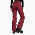 Skihose für Frauen Dainese Hp Scree jam violet 4