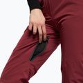 Skihose für Frauen Dainese Hp Scree jam violet 6