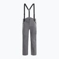 Skihose für Männer Dainese Hp Ridge castle rock
