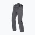 Skihose für Männer Dainese Hp Ridge castle rock 4