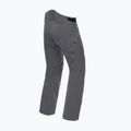 Skihose für Männer Dainese Hp Ridge castle rock 5