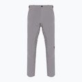 Herren Skihose Dainese Dermizax Ev silber/filigran