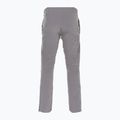 Herren Skihose Dainese Dermizax Ev silber/filigran 2