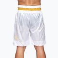 Trainingsshorts LEONE 1947 Premium weiß 2