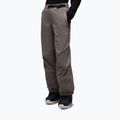 Herren Skihose Oakley Wintertide Softshell granite gray