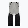 Herren Skihose Oakley Canopy Pro Insulated Pitch Black/Cement 6