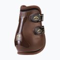 Veredus Grand Slam Pro Jump braun und gold Pferd hinter Protektoren PJUGS32