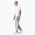 Trainingshose Herren Everlast Exclusive grey/melange 2