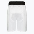 Herren-Boxshorts LEONE 1947 Color Block white/black 2