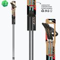 Nordic-Walking-Stöcke Fizan Carbon Pro Impulse grey 6