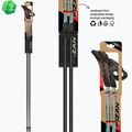 Nordic-Walking-Stöcke Fizan Tekno Impulse grey 6