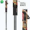 Nordic-Walking-Stöcke Fizan Tekno yellow 6