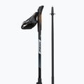 Nordic-Walking-Stöcke Fizan R-Evolution beige 3