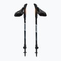 Nordic-Walking-Stöcke Fizan R-Evolution beige 5
