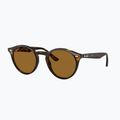 Sonnenbrille Ray-Ban RB2180 light havana/brown polarized 4