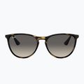 Kinder-Sonnenbrille Ray-Ban Erika havana/grey 2