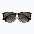 Kinder-Sonnenbrille Ray-Ban Erika havana/grey 3
