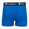 Herrenboxershorts Champion Trunk Knit royal /blue/navy 4