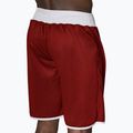 Leone Double Face Boxing Herren Wendeshorts blau/rot AB215 5