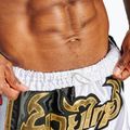 Trainings Shorts Herren LEONE 1947 Siam Thai black/white 7