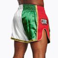 Trainings Shorts Herren LEONE 1947 Siam Thai green/white 2