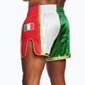 Trainings Shorts Herren LEONE 1947 Siam Thai green/white 3