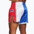Trainings Shorts Herren LEONE 1947 Siam Thai blue/white 3