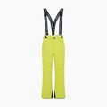 Herren Skihose Fischer Premier fischer yellow 6