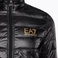Jacke Herren EA7 Emporio Armani Train Core ID Down Light black/gold logo 8