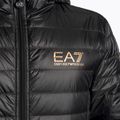 Jacke Herren EA7 Emporio Armani Train Core ID Down Light Hoodie black/gold logo 3
